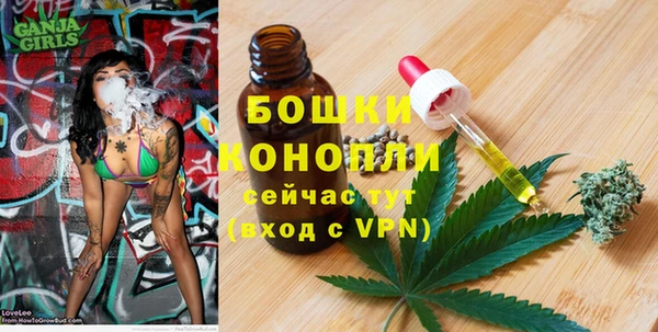 ALPHA PVP Куйбышев