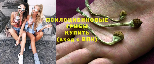 ALPHA PVP Куйбышев