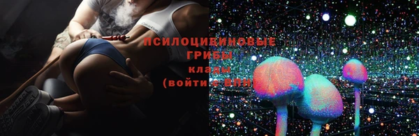 ALPHA PVP Куйбышев