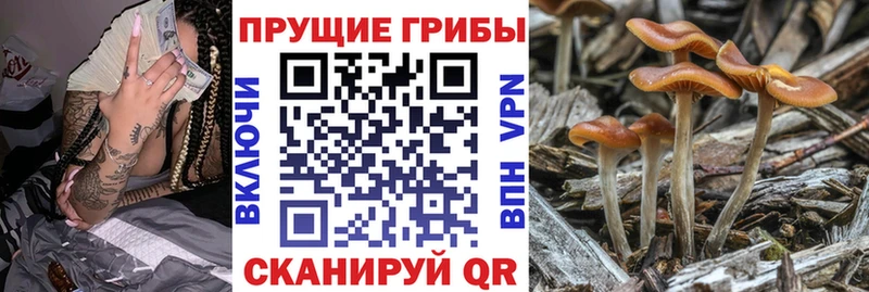 Галлюциногенные грибы прущие грибы МЕГА как зайти shop какой сайт Сосенский