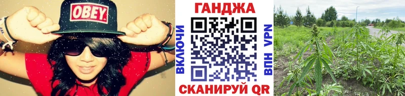 МЕГА маркетплейс  Сосенский  Бошки Шишки White Widow 